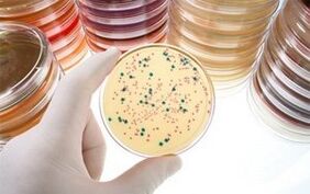 Diagnosis of parasitic diseases
