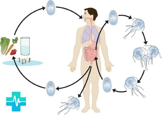 How a person can become infected